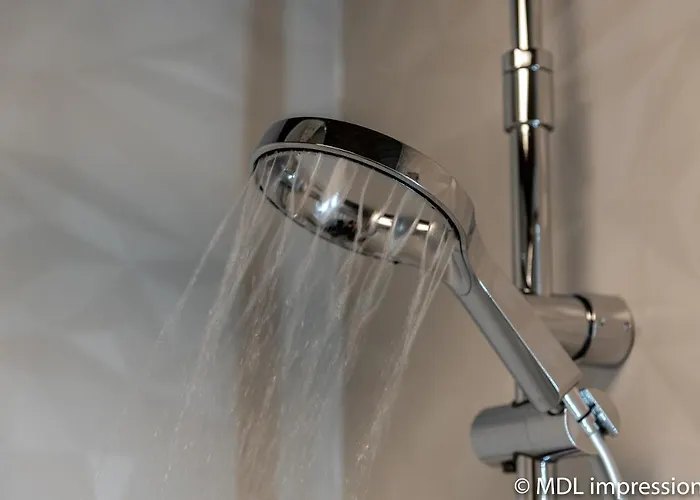 Lejlighed Sheps In Kaprun